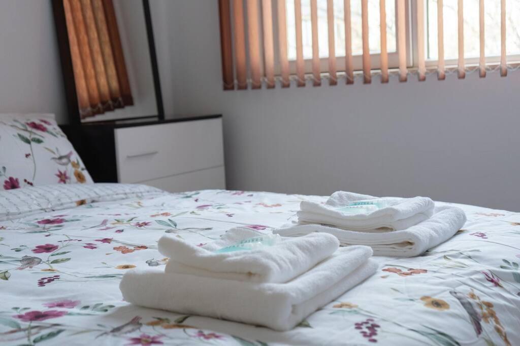Modern & Bright 1Bd Apartment Near Main Square プロヴディフ エクステリア 写真